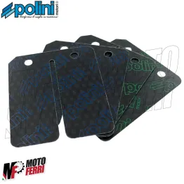 MF6547 Kit Lamelle Carbonio Polini 0,30 / 0,35 per Pacco Originale F12 Zip NRG 2