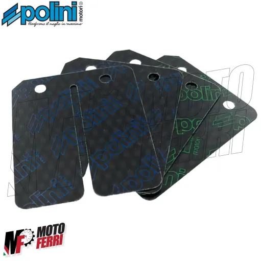 MF6547 Kit Lamelle Carbonio Polini 0,30 / 0,35 per Pacco Originale F12 Zip NRG