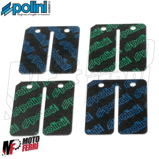 MF6547 Kit Lamelle Carbonio Polini 0,30 / 0,35 per Pacco Originale F12 Zip NRG