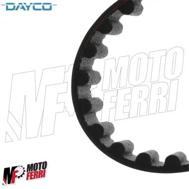 MF6559 - Kit 2 Cinghia Distribuzione Dayco Ducati Monster S2R 800 mod 2005/2007