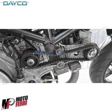 MF6561 - Kit 2 Cinghia Distribuzione Dayco Ducati Supersport 1000 mod 2003-2006