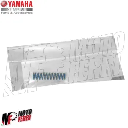 MF6672 Kit 6 Molle Mollettine Frizione Originale Yamaha TMax 560 da 2020 2024 2