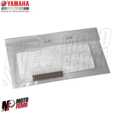 MF6673 Kit 6 Molle Mollettine Frizione Originale Yamaha TMax 530 da 2012 a 2019