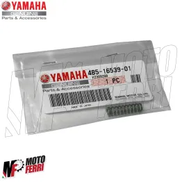 MF6674 Kit 6 Molle Mollettine Frizione Originale Yamaha TMax 500 da 2008 a 2011 2