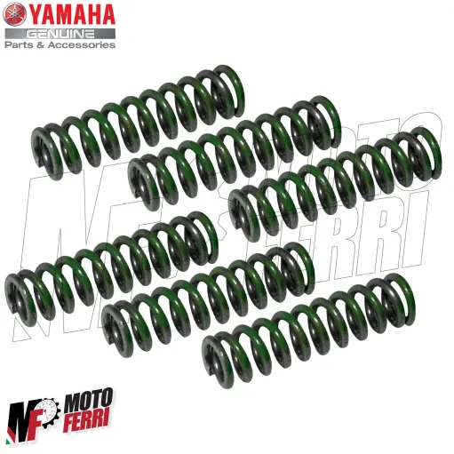 MF6674 Kit 6 Molle Mollettine Frizione Originale Yamaha TMax 500 da 2008 a 2011