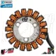 MF6694 Statore Completo Originale Vespa GTS / Super / HPE 300 dal 2008 al 2024