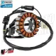 MF6694 Statore Completo Originale Piaggio Beverly 125 / 300 dal 2010 al 2020