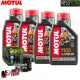 MF6722 Tagliando Ducati Multistrada 1200 - 4Lt Olio Motul 7100 15W50 + Filtro