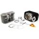 MF0890 KIT GRUPPO CILINDRO 75 CC PINASCO EVOTEN BIG BORE DM 46 SP 10 CIAO SI