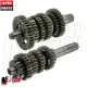 MF6811 Ingranaggi Cambio Originale Aprilia Dorsoduro / Shiver 750 (2007-2016)