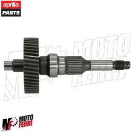 MF6843 Ingranaggio Primario Asse Ruota Originale Aprilia Sportcity 250 2008/2012 2