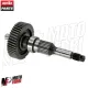 MF6843 Ingranaggio Primario Asse Ruota Originale Aprilia Sportcity 250 2008/2012