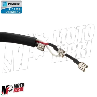 Supporto Bobine Statore Vespa 3 Fili Originale Piaggio Vespa PK 50 125 / Ape 50