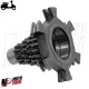 MF6863 Ingranaggio Multiplo Cambio Z 12 16 20 25 Vespa PX Sprint Veloce 125 150