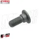 MF6897 Perno Disco Freno Posteriore Originale Yamaha YZF R6 mod 2006/2024