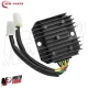 Regolatore Tensione Corrente Hexagon GT GTX 250 / Honda CN 250 Spazio Kymco Dink