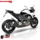 MF7230 Cupolino Kawasaki Z800 mod 2013 2014 2015 2016 Barracuda Aerosport Fumè