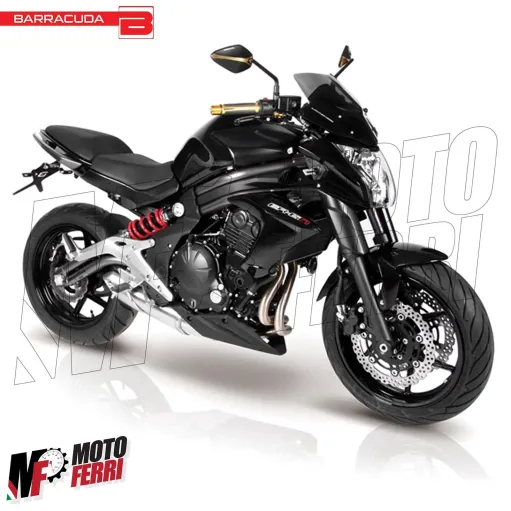 MF7232 Cupolino Kawasaki ER-6N 2012 2013 2014 2015 2016 Barracuda Aerosport Fumè
