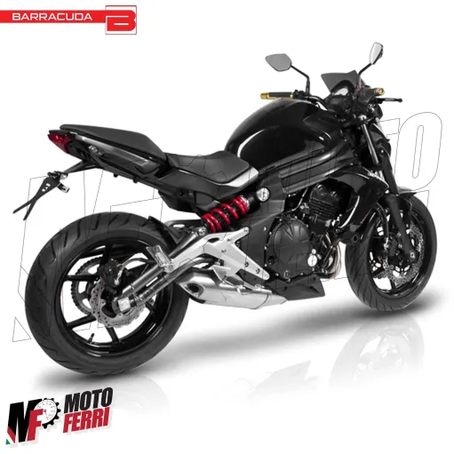 MF7232 Cupolino Kawasaki ER-6N 2012 2013 2014 2015 2016 Barracuda Aerosport Fumè
