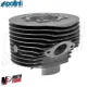 MF7254 Cilindro Polini Evolution 135 Dm 58 Ghisa Vespa 50 125 Special ET3 Ape PK