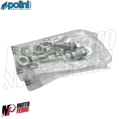 MF7254 Cilindro Polini Evolution 135 Dm 58 Ghisa Vespa 50 125 Special ET3 Ape PK