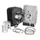Kit Gruppo Termico Cilindro Malossi Piaggio Si Bravo Grillo Dm 46.5 Spinotto 10