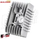Kit Gruppo Termico Cilindro Malossi Piaggio Si Bravo Grillo Dm 46.5 Spinotto 10