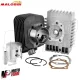 Kit Gruppo Termico Cilindro Malossi Piaggio Si Bravo Grillo Dm 46.5 Spinotto 10