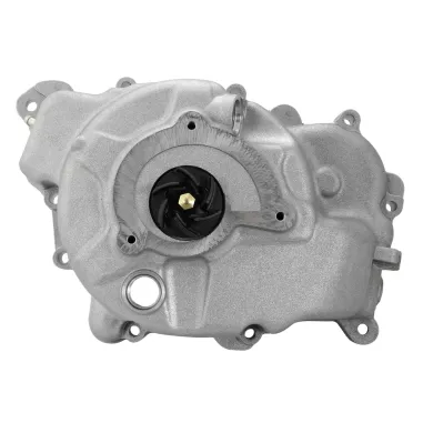 MF7325 Carter Coperchio Pompa Acqua Originale Piaggio Vespa GTS 300 (2008/2018)