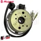 MF7330 Volano Statore Completo Originale Malaguti F12R 50 2T AC Aria 2007/2010