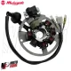 MF7330 Volano Statore Completo Originale Malaguti F12R 50 2T AC Aria 2007/2010