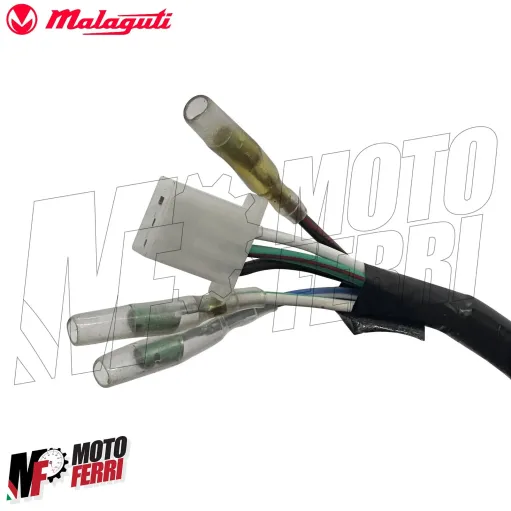 MF7330 Volano Statore Completo Originale Malaguti F12R 50 2T AC Aria 2007/2010