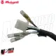 MF7330 Volano Statore Completo Originale Malaguti F12R 50 2T AC Aria 2007/2010