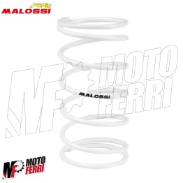 MF1730 Molla di Contrasto Variatore Bianca Malossi Runner ZIP SR NRG MC3 NTT 2