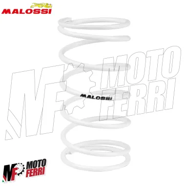 MF1730 Molla di Contrasto Variatore Bianca Malossi Runner ZIP SR NRG MC3 NTT