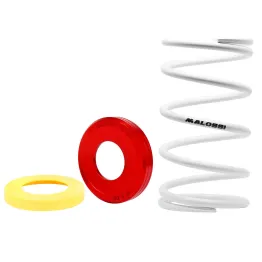 MF1572 Molla di Contrasto Bianca + Torsion Malossi per Yamaha TMax 500 530 560