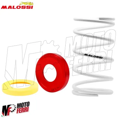 MF1572 Molla di Contrasto Bianca + Torsion Malossi per Yamaha TMax 500 530 560