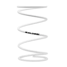 MF1885 Molla di Contrastro Variatore Bianca Malossi Piaggio Gilera 125 250 300