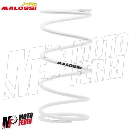 MF1727 Molla di Contrastro Variatore Bianca Malossi Motori Minarelli Yamaha 50 2