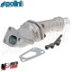 MF1096 COLLETTORE 24 POLINI CARBURATORE MONOLAMELLARE 3 FORI VESPA PK 50 S XL