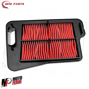 MF7441 Kit Olio Malossi 10W40 + Filtro Aria Candela Suzuki Burgman 400 2007/2017