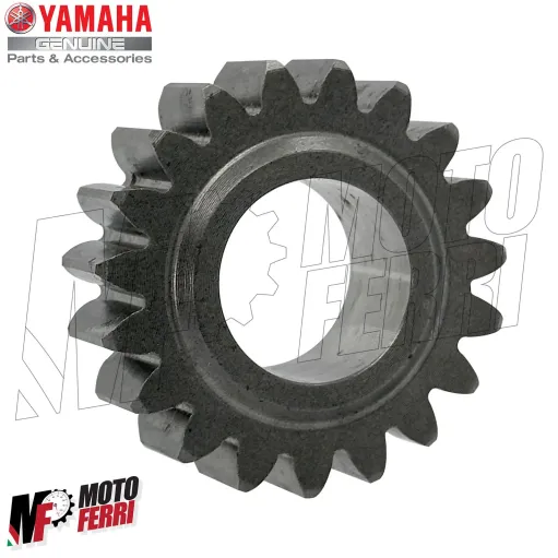 MF4156 Ingranaggio Cambio Z19 Yamaha 600 FZR R / FZS Fazer / YZF R Thundercat