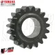 MF4156 Ingranaggio Cambio Z19 Yamaha 600 FZR R / FZS Fazer / YZF R Thundercat