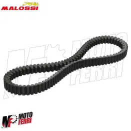 MF7517 Cinghia Malossi Honda 350 SH Forza ADV da 2021 a 2025 X K Belt Kevlar 2