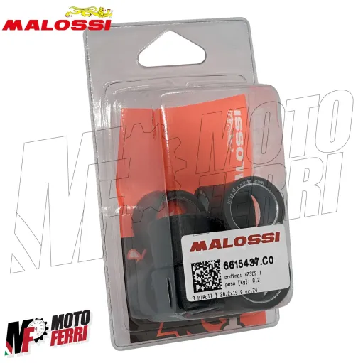 MF6682 Rulli Variatore Honda Silver Wing SW-T 400 600 - Malossi 28x20 Grammi 24