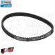 MF7579 Cinghia Miscelatore Originale Gilera Typhoon / X XR 125 2T 1995 - 2000