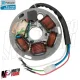 MF0389 Statore Magnete Originale Piaggio Vespa PX 125 150 200 PE Arcobaleno