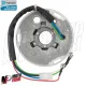 MF0389 Statore Magnete Originale Piaggio Vespa PX 125 150 200 PE Arcobaleno