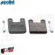 MF7662 Pastiglie Freno per Minimoto Minicross Minimotard Polini