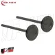 MF7701 Kit Serie 4 Valvole Honda SH / ADV / Forza 350 2021 2022 2023 2024